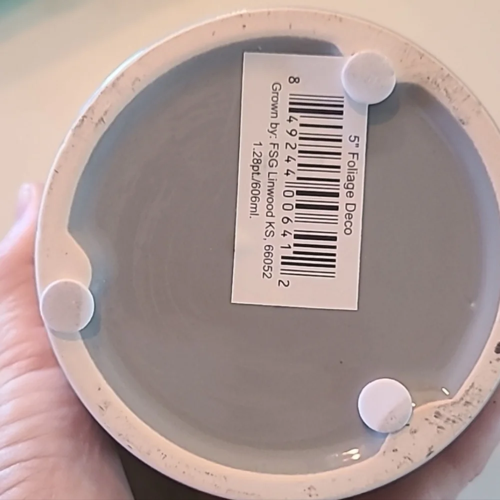 Like New Pottery Barn Modern/ Elegant Gray Ceramic Planter/ Pot